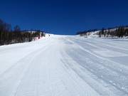 Erstklassige Pistenpräparierung im Skigebiet Geilo