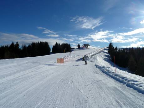 Skigebiete für Anfänger im Geltungsbereich von Skirama Dolomiti – Anfänger Folgaria/Fiorentini
