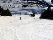 Schwarze Piste an der Kombibahn Puflatsch