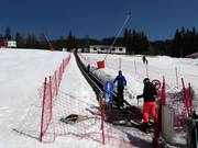 #11 Malina - Förderband