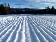 Präparierte Piste in Folgaria-Fiorentini