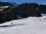 Verbindungslift Markbachjoch (Telecord) - Seillift/Babylift mit niederer Seilführung