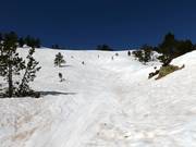 Skiroute in der Freeride Area