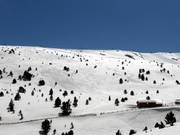 Tiefschneespuren in Soldeu