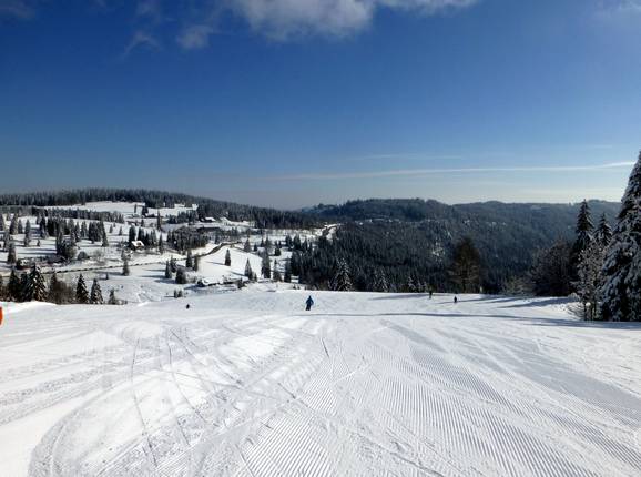 Traumhaft verschneite Landschaft am Feldberg