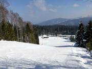 Im unteren Teil gibt es auch mittelschwere Abfahrten