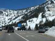 Snowbird im Little Cottonwood Canyon