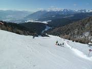 Abfahrt Nesselwiese (Gitschberg)