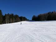 Leichte Piste am Schlepplift