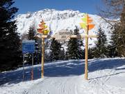 Sentiero nel Bosco (Waldpiste)