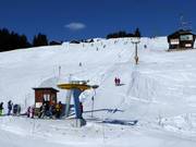Parli-Alp Dado - Schlepplift mit T-Bügel/Anker
