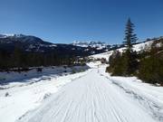 Letztes Stück der Piste Nr. 1 Armentarola