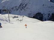 Piste Nr. 5 am Rendl