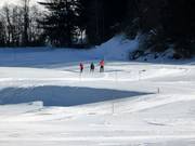 Langläufer in Savognin