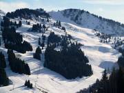 Blick auf die Pisten Ranfolly in Les Gets