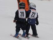 Auf geht´s zum Zwergerlrennen