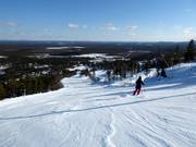 Piste 5 (Blue Slope)