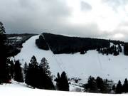 Pisten am Stübenwasenlift