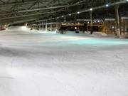 FIS Abfahrt mit Almhütte