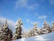 Mehr natürlicher Schnee als am Sahnehang fällt nirgends im Sauerland, Bilder wie diese gibt’s daher oft.