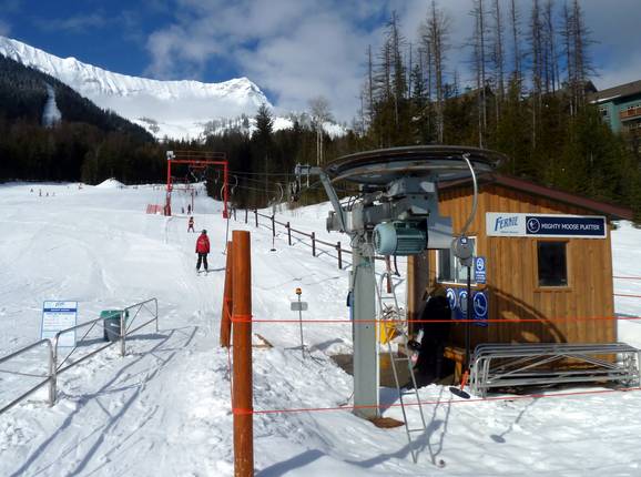 Mighty Moose Platter