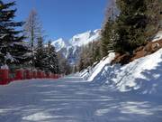 Ziehweg der Piste Doss dei Cembri