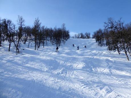 Skigebiete für Könner und Freeriding Härjedalen – Könner, Freerider Tänndalen