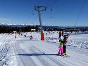 Kreischi - Schlepplift mit T-Bügel/Anker