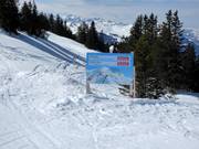 Informationen zur Skisafari