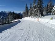 Märchenabfahrt am Rittisberg