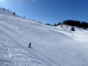 Schwere Piste Waldkopf FIS