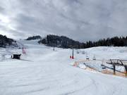 Blick auf den Skihang am Katzenkopf