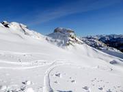 Frische Spuren im Schnee