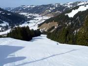 Kreuzleabfahrt vom Riedberger Horn