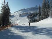 Familienstrecke mit Blick auf den Arber Gipfel