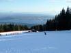 Pistenangebot Lower Mainland – Pistenangebot Grouse Mountain