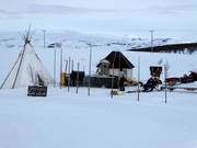 Jon-Levis Café o Grill