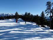 Espace ludique "Le Desman"