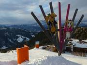 Tipp für die Kleinen  - Family Run