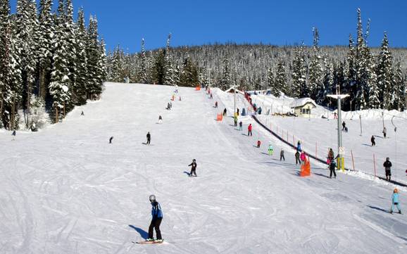 Skigebiete für Anfänger auf dem Interior Plateau – Anfänger Sun Peaks