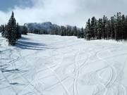 Leichte Abfahrt Tumbleweed am Huckleberry Chair