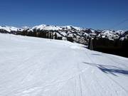 Breite Piste Hornfluh