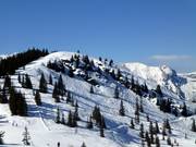 Variantengelände im Gipfelbereich der Planai