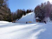 Schwere Waldabfahrt Berter