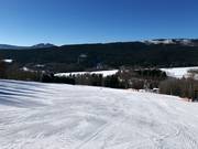 Leichte, sehr breite Piste im unteren Bereich