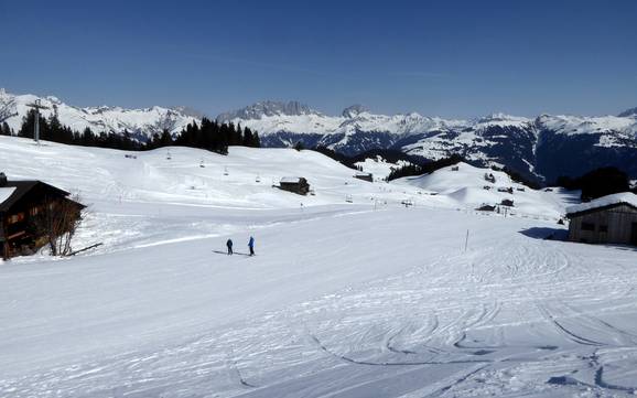 Prättigau: Testberichte von Skigebieten – Testbericht Grüsch Danusa