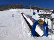 Zauberteppich (einer von zahlreichen im Skigebiet)