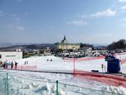 Kostenloses Förderband in der Beginner Zone Kitanomine