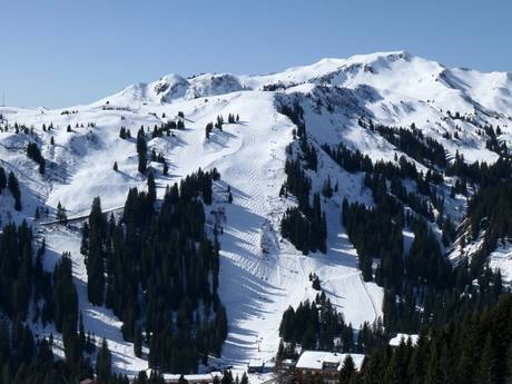 Skigebiete für Könner und Freeriding Mitteleuropa – Könner, Freerider Damüls Mellau