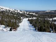 Piste 36 (Reitti Mastolta)